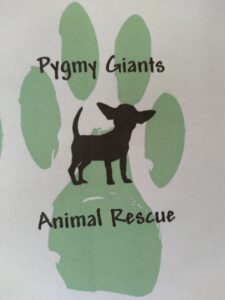 Fundraiser for Pygmy Giants Animal Rescue