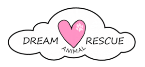 Fundraiser for DREAM Animal Rescue