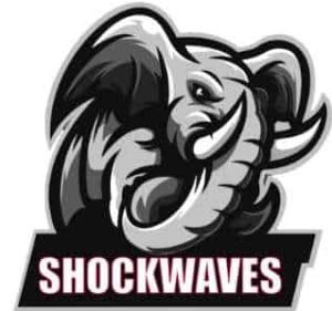 Fundraiser for Indiana Shockwaves Ranard 10U